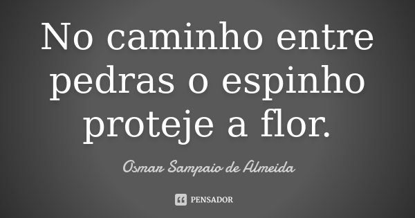 No caminho entre pedras o espinho proteje a flor.... Frase de Osmar Sampaio de Almeida.