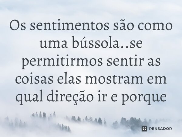 ⁠Os sentimentos são como uma bússola..se permitirmos sentir as coisas elas mostram em qual direção ir e porque