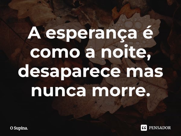 A esperança é como a noite, desaparece mas nunca morre.⁠... Frase de O Supina..