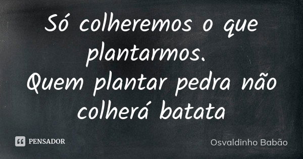 Só colheremos o que plantarmos. Quem plantar pedra não colherá batata... Frase de Osvaldinho Babão.