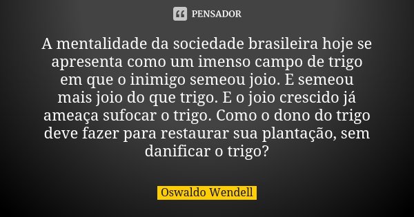 A mentalidade da sociedade brasileira hoje se apresenta como um imenso campo de trigo em que o inimigo semeou joio. E semeou mais joio do que trigo. E o joio cr... Frase de Oswaldo Wendell.