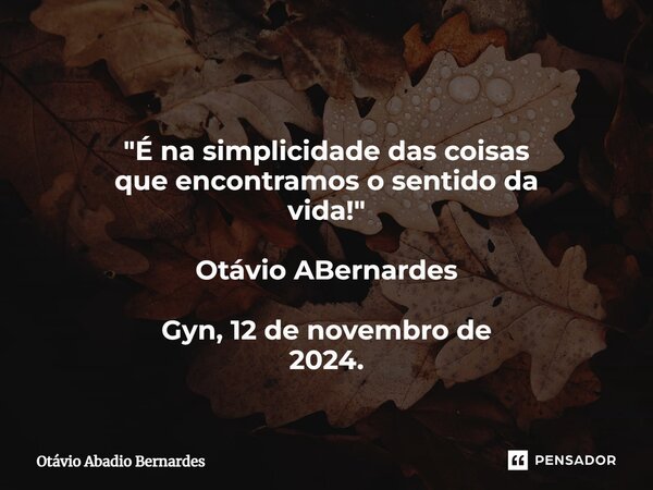 ⁠ "É na simplicidade das coisas que encontramos o sentido da vida!" Otávio ABernardes Gyn, 12 de novembro de 2024.... Frase de Otávio Abadio Bernardes.