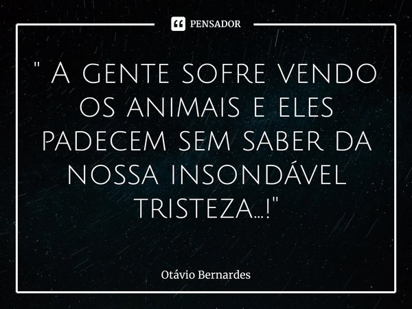 ⁠" A gente sofre vendo os animais e eles padecem sem saber da nossa insondável tristeza...!"... Frase de Otávio Bernardes.