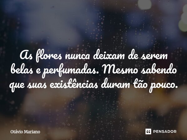 ⁠As flores nunca deixam de serem belas e perfumadas. Mesmo sabendo que suas existências duram tão pouco.... Frase de Otavio Mariano.