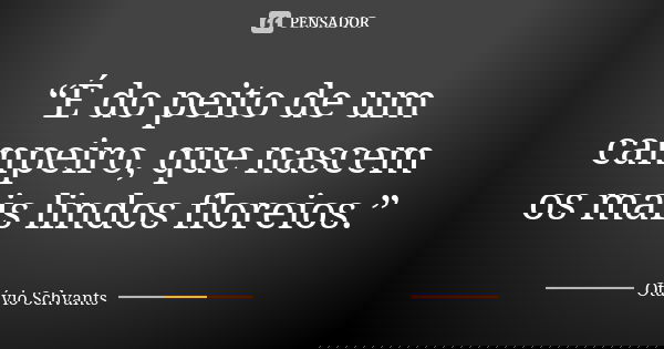 “É do peito de um campeiro, que nascem os mais lindos floreios.”... Frase de Otávio Schvants.