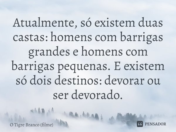 ⁠Atualmente, só existem duas castas: homens com barrigas grandes e homens com barrigas pequenas. E existem só dois destinos: devorar ou ser devorado.... Frase de O Tigre Branco (filme).