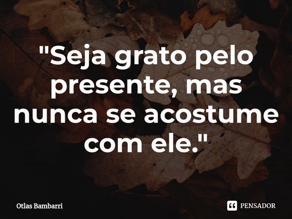 ⁠"Seja grato pelo presente, mas nunca se acostume com ele."... Frase de Otlas bambarri.