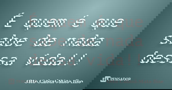 É quem é que sabe de nada dessa vida!!... Frase de Otto Cabral-Mato fino.