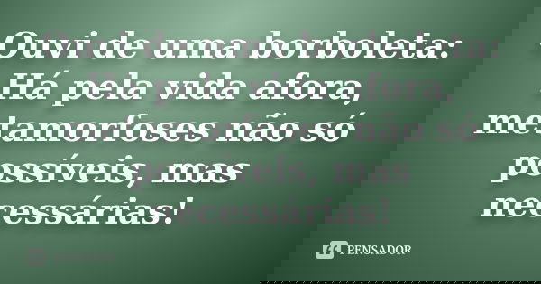 Ouvi de uma borboleta: Há pela vida afora, metamorfoses não só possíveis, mas necessárias!