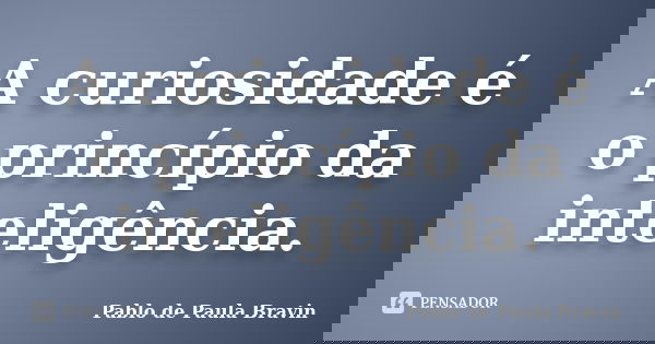 A curiosidade é o princípio da inteligência.... Frase de Pablo de Paula Bravin.