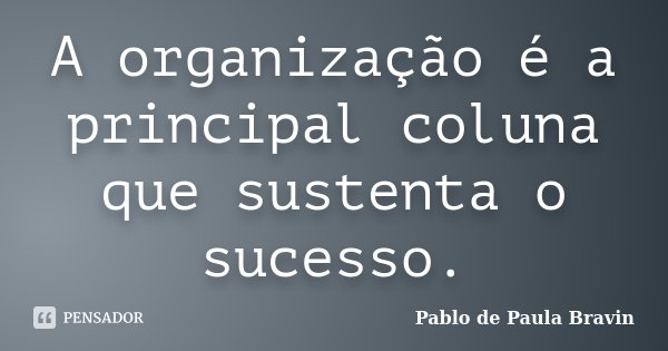 A organização é a principal coluna que sustenta o sucesso.... Frase de Pablo de Paula Bravin.