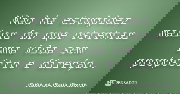 Não há estupidez maior do que ostentar uma vida sem propósito e direção.... Frase de Pablo de Paula Bravin.