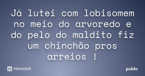 Já lutei com lobisomem no meio do arvoredo e do pelo do maldito fiz um chinchão pros arreios !... Frase de pablo.