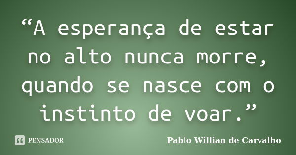 “A esperança de estar no alto nunca morre, quando se nasce com o instinto de voar.”... Frase de Pablo Willian de Carvalho.