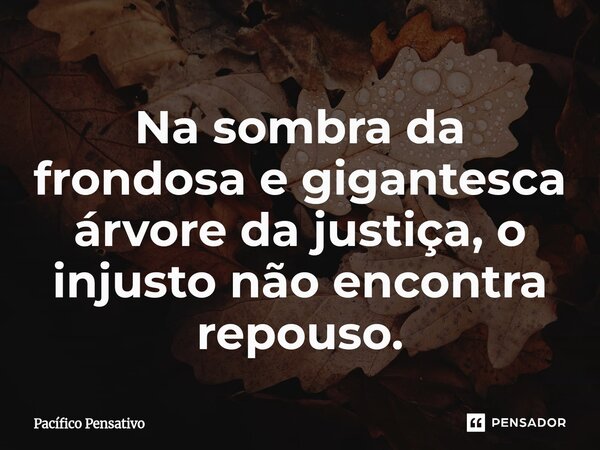⁠Na sombra da frondosa e gigantesca árvore da justiça, o injusto não encontra repouso.... Frase de Pacífico Pensativo.