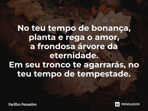 ⁠No teu tempo de bonança, planta e rega o amor, a frondosa árvore da eternidade. Em seu tronco te agarrarás, no teu tempo de tempestade.... Frase de Pacífico Pensativo.