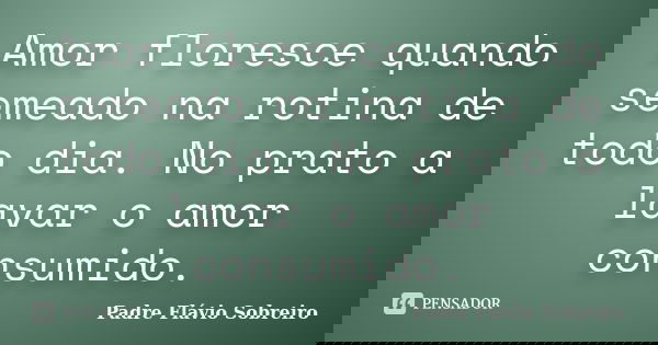 Amor floresce quando semeado na rotina de todo dia. No prato a lavar o amor consumido.... Frase de Padre Flávio Sobreiro.