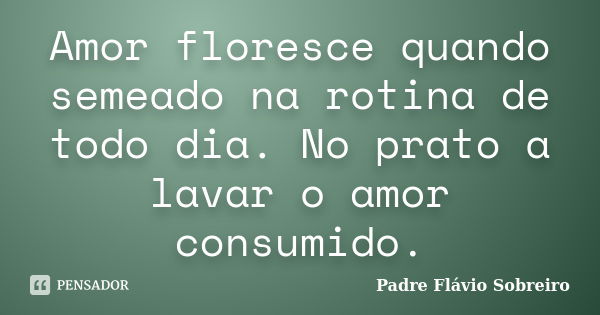 Amor floresce quando semeado na rotina de todo dia. No prato a lavar o amor consumido.... Frase de Padre Flávio Sobreiro.