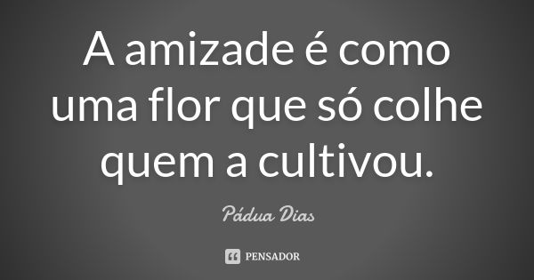 A amizade é como uma flor que só colhe quem a cultivou.... Frase de Pádua Dias.