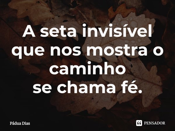⁠A seta invisível que nos mostra o caminho
se chama fé.... Frase de Pádua Dias.