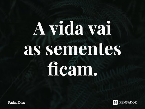 ⁠A vida vai
as sementes ficam.... Frase de Pádua Dias.