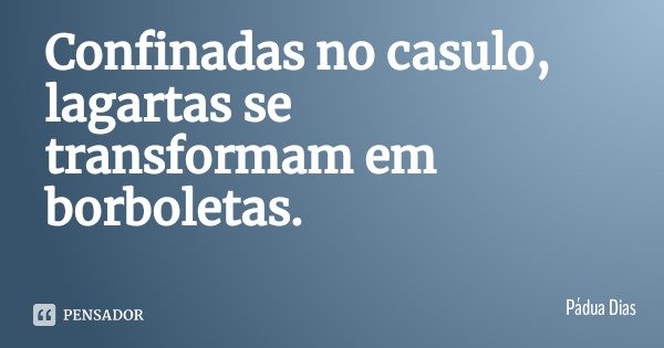 Confinadas no casulo, lagartas se transformam em borboletas.... Frase de Pádua Dias.