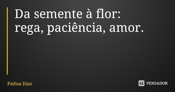 Da semente à flor:
rega, paciência, amor.... Frase de Pádua Dias.