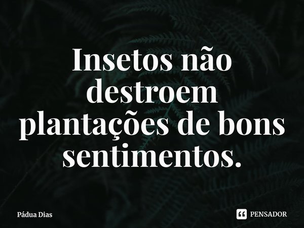 ⁠Insetos não destroem plantações de bons sentimentos.... Frase de Pádua Dias.