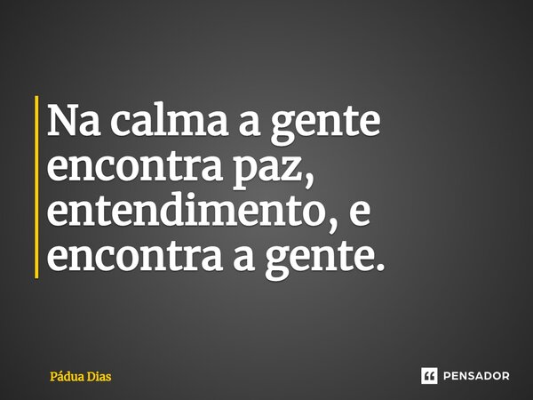 ⁠Na calma a gente encontra paz, entendimento, e encontra a gente.... Frase de Pádua Dias.