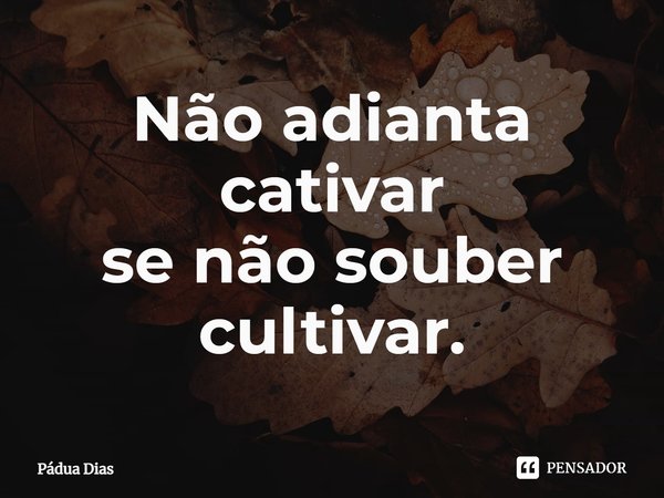 ⁠Não adianta cativar
se não souber cultivar.... Frase de Pádua Dias.
