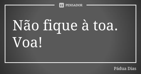 Não fique à toa. Voa!... Frase de Pádua Dias.