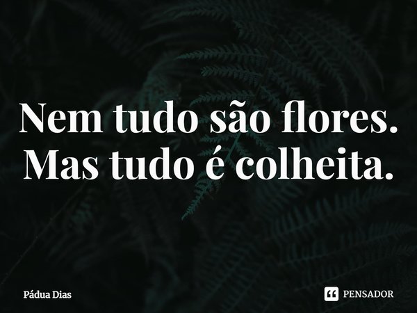 ⁠Nem tudo são flores.
Mas tudo é colheita.... Frase de Pádua Dias.