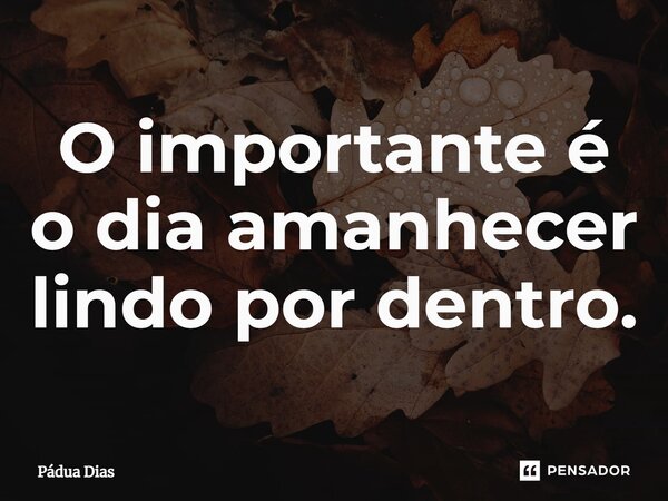 ⁠O importante é o dia amanhecer lindo por dentro.... Frase de Pádua Dias.