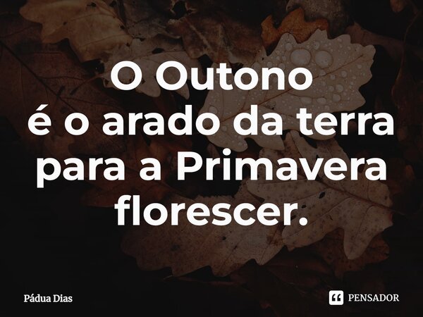⁠O Outono é o arado da terra para a Primavera florescer.... Frase de Pádua Dias.