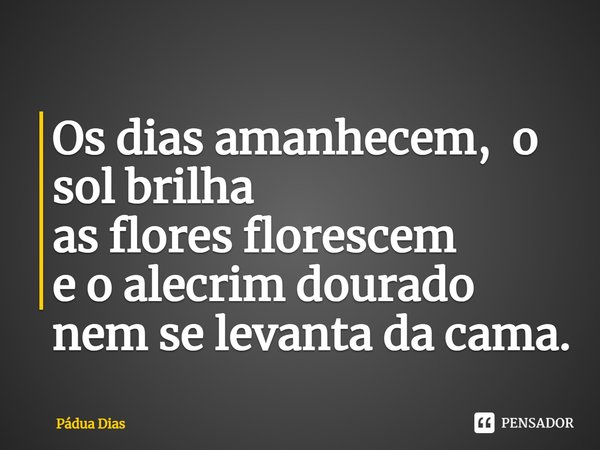 ⁠Os dias amanhecem, o sol brilha
as flores florescem
e o alecrim dourado nem se levanta da cama.... Frase de Pádua Dias.