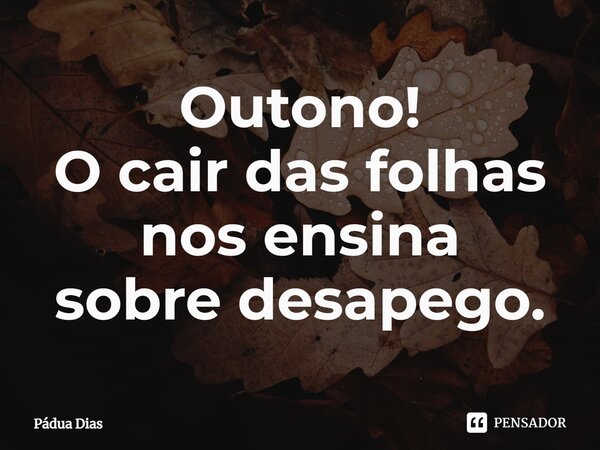 ⁠Outono! O cair das folhas nos ensina sobre desapego.... Frase de Pádua Dias.