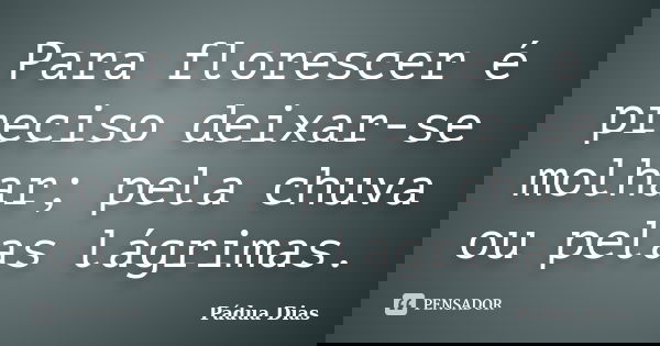 Para florescer é preciso deixar-se molhar; pela chuva ou pelas lágrimas.... Frase de Pádua Dias.