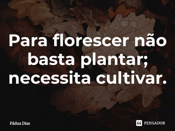 ⁠Para florescer não basta plantar;
necessita cultivar.... Frase de Pádua Dias.