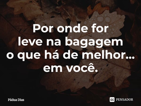 ⁠Por onde for leve na bagagem o que há de melhor... em você.... Frase de Pádua Dias.