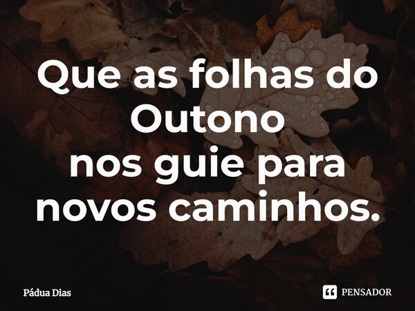 ⁠Que as folhas do Outono nos guie para novos caminhos.... Frase de Pádua Dias.