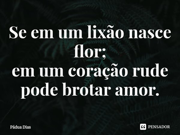 ⁠Se em um lixão nasce flor;
em um coração rude pode brotar amor.... Frase de Pádua Dias.