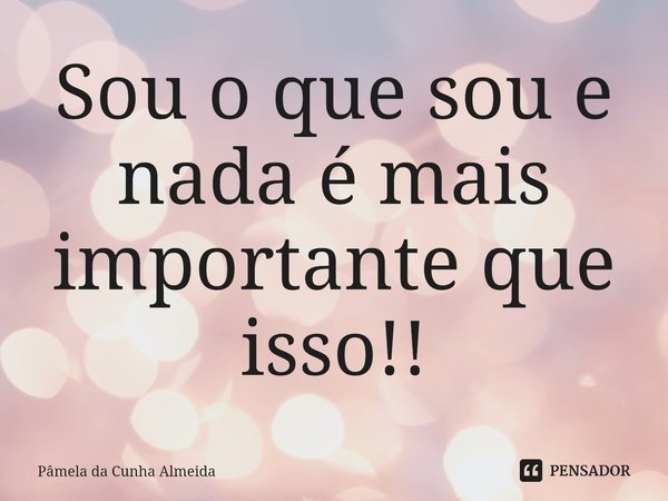 ⁠Sou o que sou e nada é mais importante que isso!!... Frase de Pamela da Cunha Almeida.