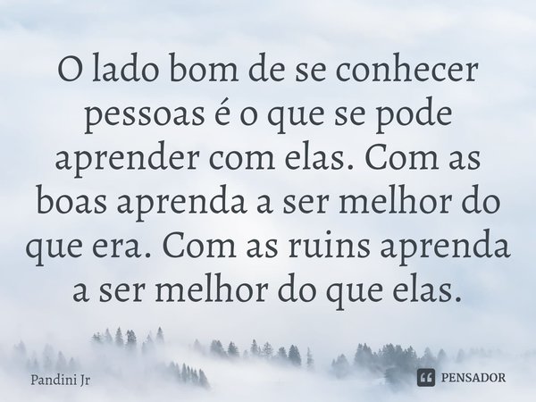 ⁠O lado bom de se conhecer pessoas é o que se pode aprender com elas. Com as boas aprenda a ser melhor do que era. Com as ruins aprenda a ser melhor do que elas... Frase de Pandini Jr.