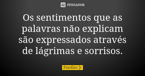 Os sentimentos que as palavras não explicam são expressados através de lágrimas e sorrisos.... Frase de Pandini Jr.