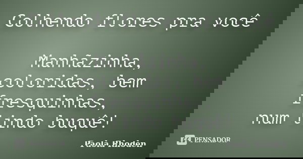 Colhendo flores pra você Manhãzinha, coloridas, bem fresquinhas, num lindo buquê!... Frase de Paola Rhoden.