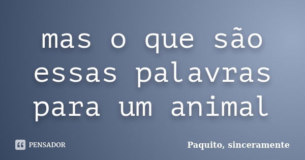 mas o que são essas palavras para um animal... Frase de Paquito, sinceramente.