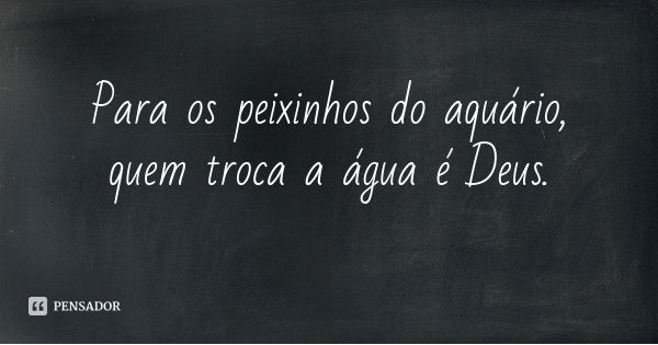 Para os peixinhos do aquário, quem troca a água é Deus.... Frase de Desconhecido.