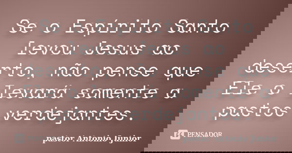 Se o Espírito Santo levou Jesus ao deserto, não pense que Ele o levará somente a pastos verdejantes.... Frase de Pastor Antonio Junior.