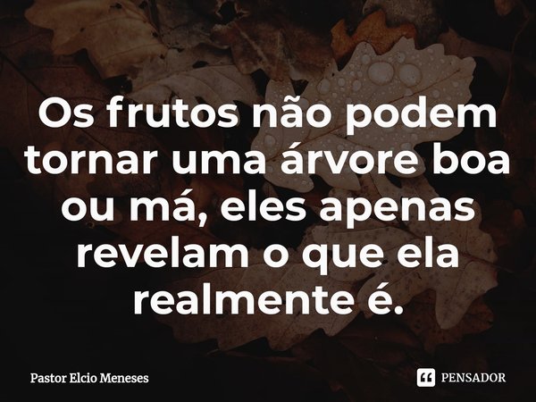 ⁠Os frutos não podem tornar uma árvore boa ou má, eles apenas revelam o que ela realmente é.... Frase de Pastor Elcio Meneses.