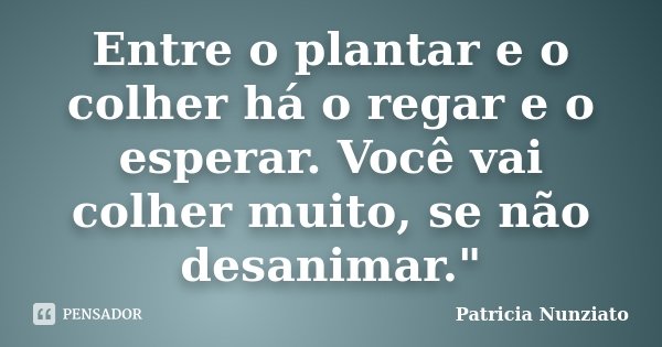 Entre o plantar e o colher há o regar e o esperar. Você vai colher muito, se não desanimar."... Frase de Patricia Nunziato.
